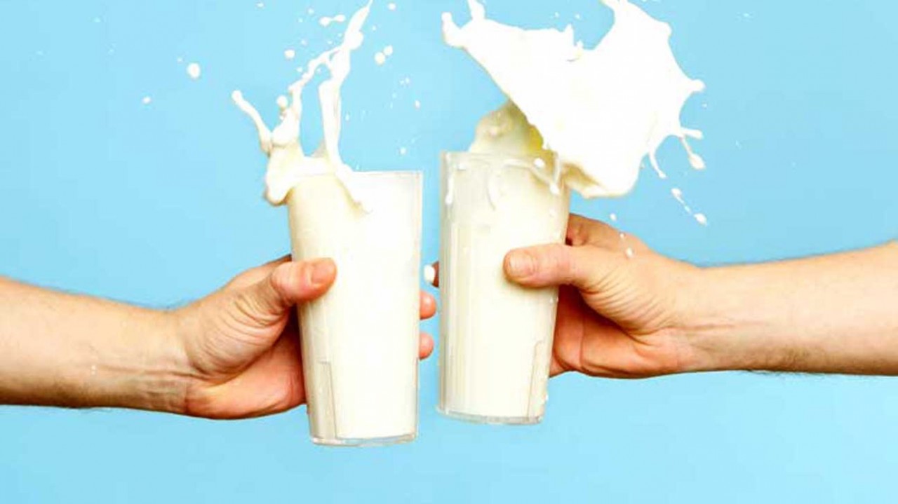 Süt ve Süt Ürünleri Sağlıklı mı? Süt ve Süt Ürünleri Zararlı mı? İşte Gerçekler