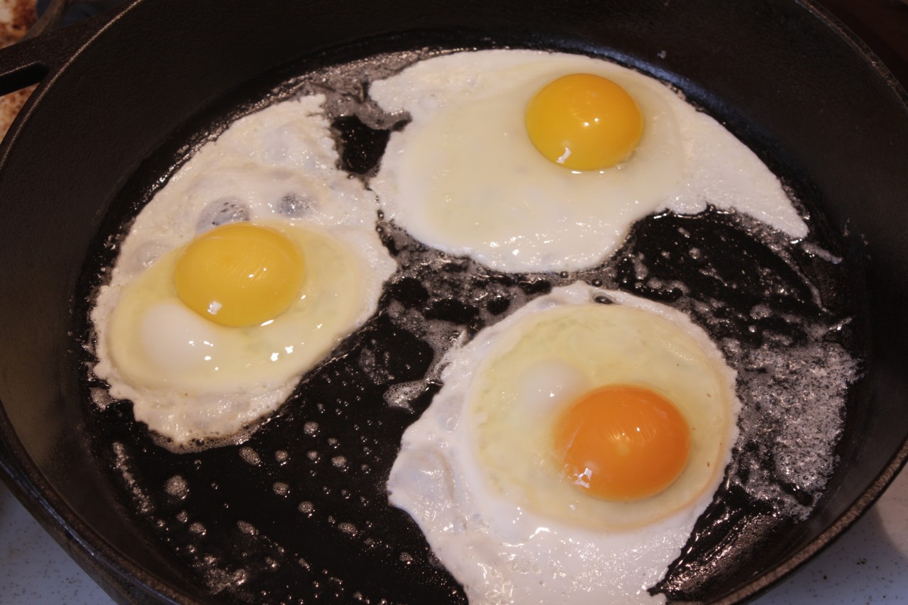 Geleneksel, Organik ve Omega-3 ile Beslenen Tavuk Yumurtaları Farkları Nelerdir?